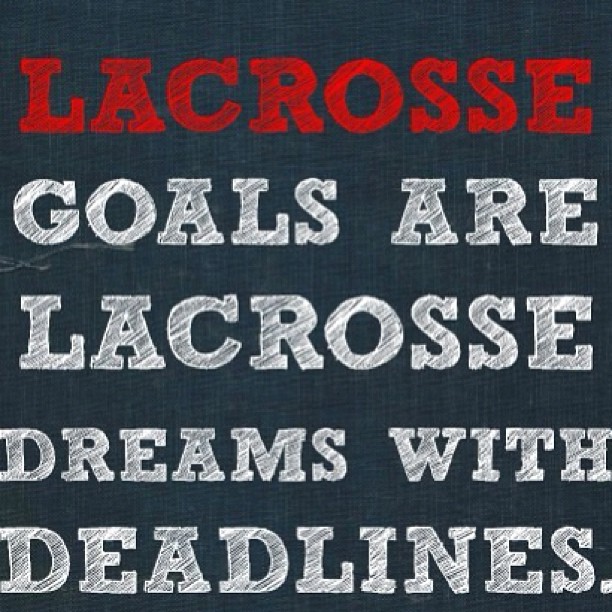 Lacrosse Goals are Lacrosse Dreams